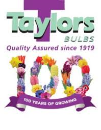 Taylors Bulbs