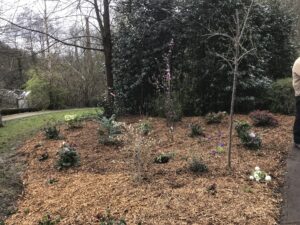 Blooming Milford 2