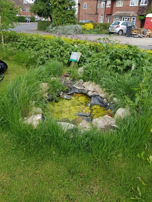O&W Hill Way pond May 2020 (1)