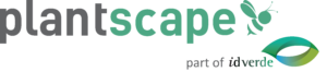 Plantscape